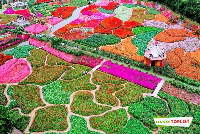 Thung lũng hoa Hồ Tây – điểm đến lý tưởng cho những bức ảnh sống động