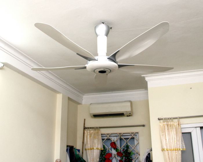 Hình ảnh minh họa số 1