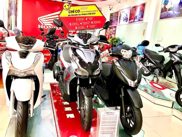 Hình ảnh showroom HEAD Huy Tân III
