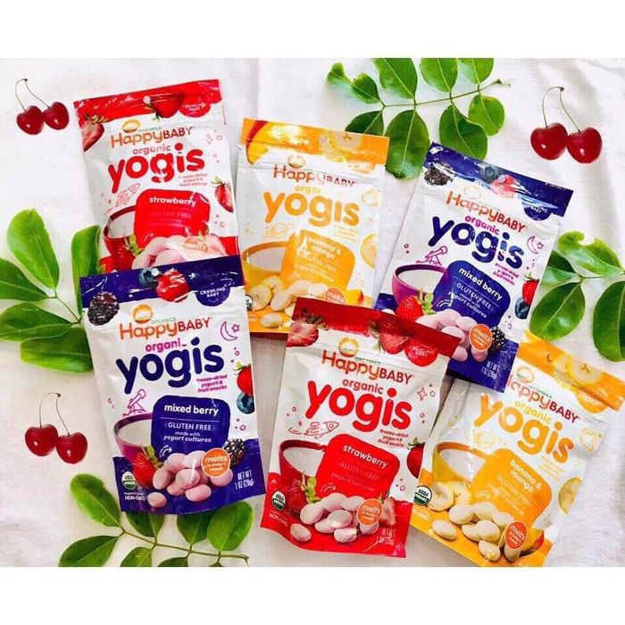 Hình ảnh thực tế sữa chua khô Happy Baby Organic đa vị