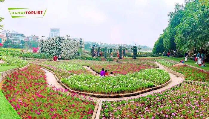 Thung lũng hoa Hồ Tây – một không gian thanh bình, nơi sắc hoa và không khí trong lành sẽ khiến bạn cảm thấy như lạc vào chốn thần tiên.