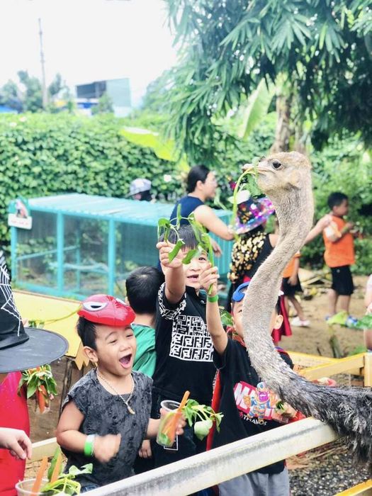 7 điểm vui chơi trẻ em an toàn và thú vị nhất tại Đà Nẵng (Phần 5)