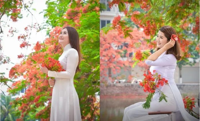 Bộ sưu tập ảnh minh họa số 2 (Nguồn: Kho dữ liệu mở)
