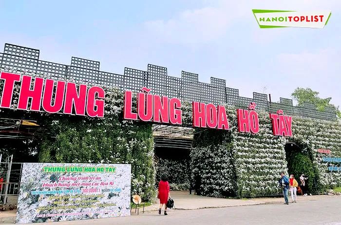 Giới trẻ thủ đô không ngừng chia sẻ những bức ảnh check-in tại thiên đường hoa Hồ Tây, nơi quy tụ những loài hoa tuyệt đẹp và khung cảnh không thể tuyệt vời hơn.
