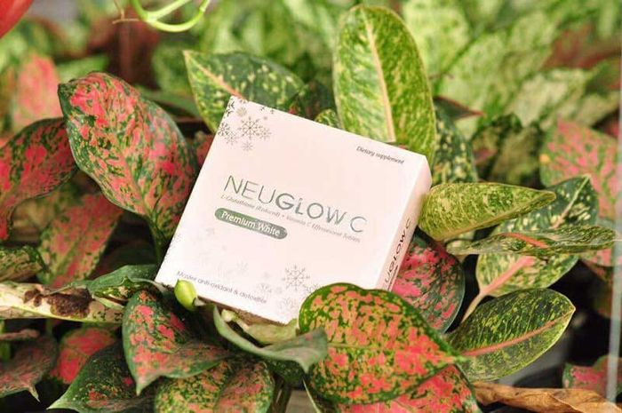 Bộ sưu tập hình ảnh viên sủi Neuglow C Premium White đa góc cạnh