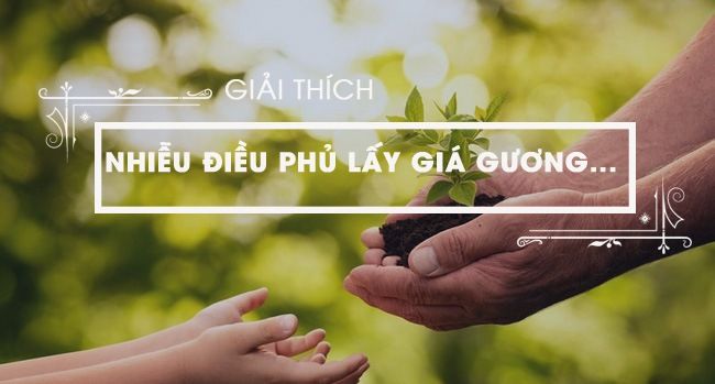 Hình ảnh minh họa sinh động (Nguồn: Internet)