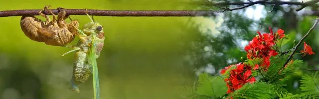 Hình ảnh minh họa số 2 - Kho tàng hình ảnh phong phú từ internet