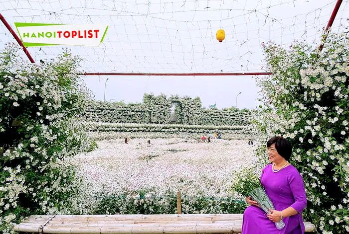 Một thung lũng hoa đầy sắc màu và sự tĩnh lặng, nơi mỗi góc cảnh đều ẩn chứa những điều bất ngờ đầy thú vị.