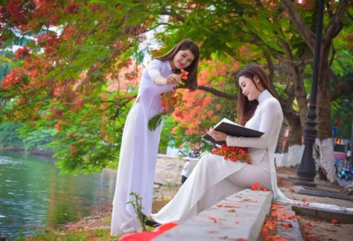 Hình ảnh minh họa số 2 - Kho tàng hình ảnh phong phú từ internet