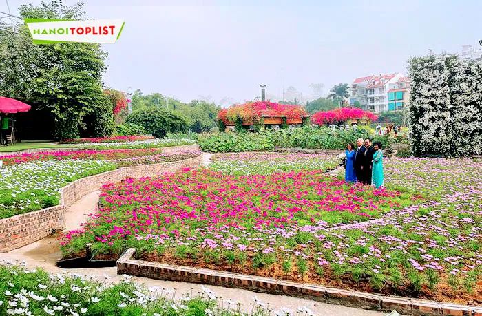 Thung lũng hoa Hồ Tây – nơi sắc màu thiên nhiên giao thoa, tạo nên một bức tranh sống động khiến bạn không thể rời mắt.