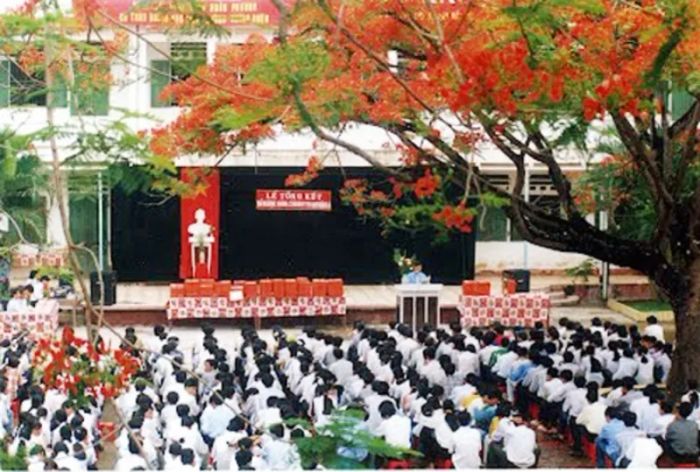 Hình ảnh minh họa số 1: Tán phượng xanh mát (Nguồn: internet)