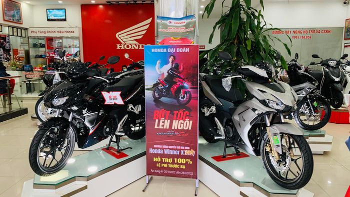 Head Đại Đoàn ảnh 1 - Góc nhìn chân thực về không gian trưng bày đẳng cấp và chuyên nghiệp