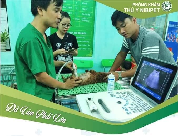 Phòng Khám Thú Y Ninh Bình Nibipet hình ảnh 2