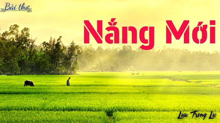 Hình minh họa số 1 - Nguồn tham khảo: Internet