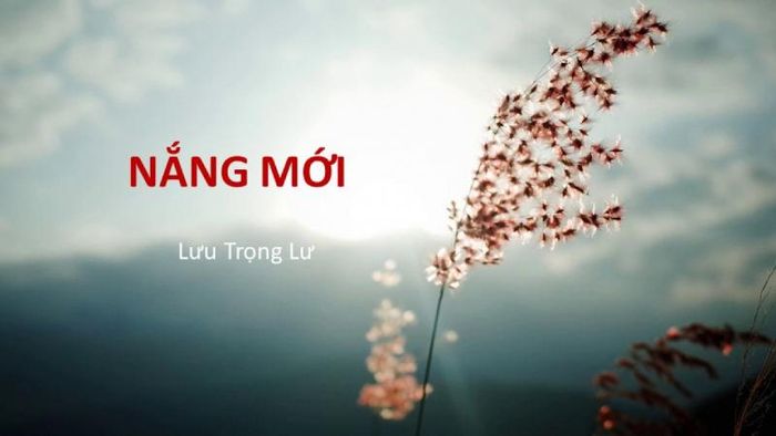 Hình minh họa số 1 - Nguồn: Internet