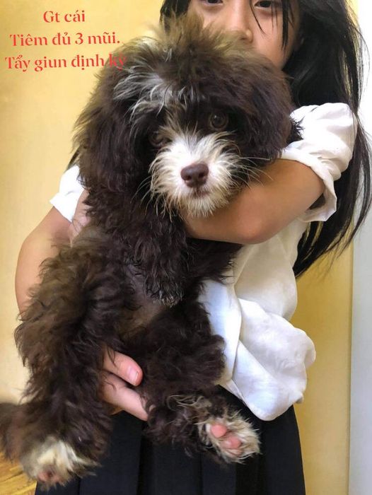 PET’S LIFE Ninh Bình hình ảnh 1