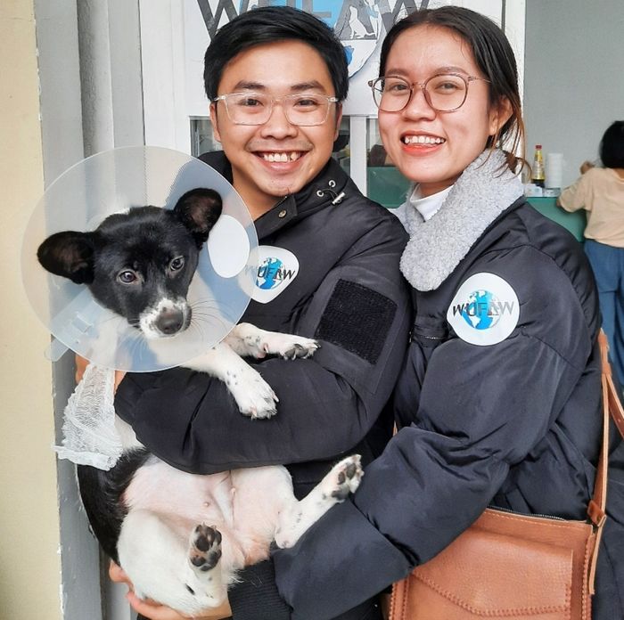 Hình ảnh 2 Phòng khám Quốc tế Paws - Đội ngũ bác sĩ tận tâm