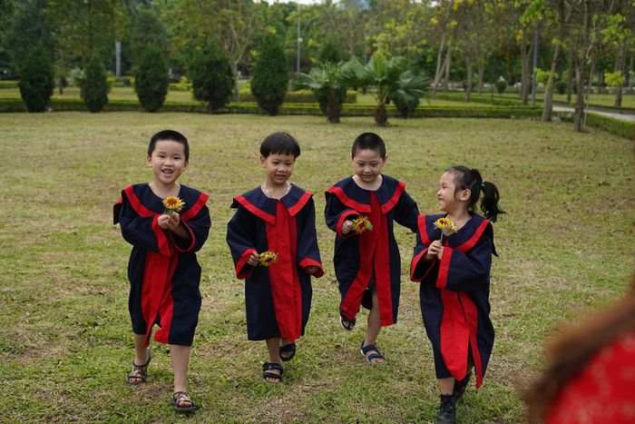 Mầm Non Hoa Thuỷ Tiên - Hình ảnh 1