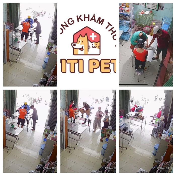 Hình ảnh Phòng Khám Thú Y TiTi Pet - Cơ sở vật chất hiện đại