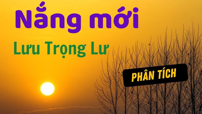 Hình minh họa số 1 - Nguồn tham khảo: Internet