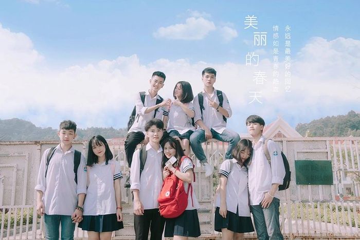 Hình ảnh minh họa: Phượng vĩ sân trường