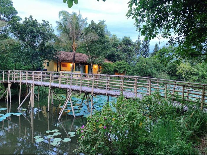 WeHome Rừng Sưa - Ảnh 2