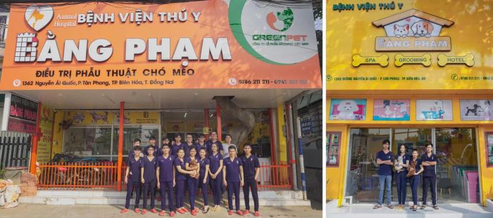 Bệnh Viện Thú Y Petshop Bằng Phạm hình ảnh 3