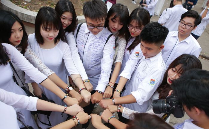 Hình ảnh minh họa: Hoa dẻ vàng bên suối