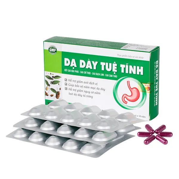 Hình ảnh chi tiết sản phẩm Dạ Dày Tuệ Tĩnh
