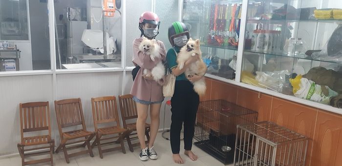 Hình ảnh 2 Phòng khám Thú y 54 Nguyễn Phẩm - Không gian khám chữa bệnh