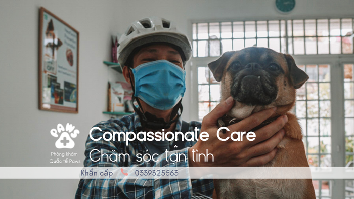 Hình ảnh 1 Phòng khám Quốc tế Paws - Không gian hiện đại đạt chuẩn quốc tế
