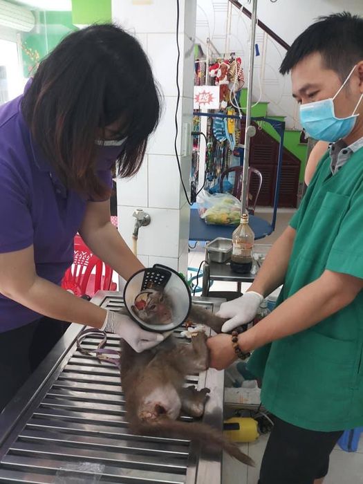 Hình ảnh Phòng Khám Đa Khoa Thú Y Trường Sơn - Không gian hiện đại, trang thiết bị tiên tiến phục vụ khám chữa bệnh chất lượng.
