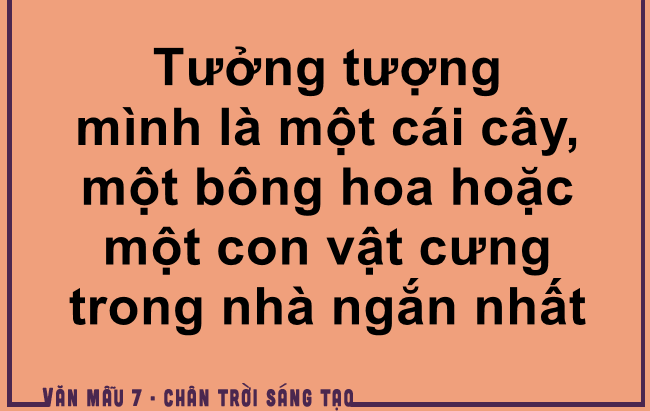 Ảnh minh họa (Nguồn internet) ảnh 1