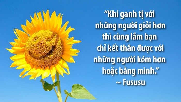Ảnh minh họa (Nguồn internet) ảnh 1