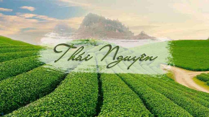 Ảnh minh họa (Nguồn internet) ảnh 1