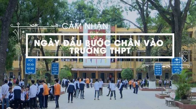 Hình ảnh minh họa sống động (Nguồn: internet) ảnh 1