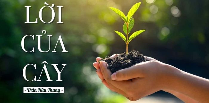 Hình minh họa đầy cảm hứng (Nguồn: internet)