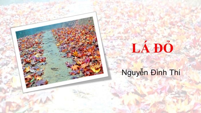 Hình ảnh minh họa đầy cảm xúc (Nguồn: internet)
