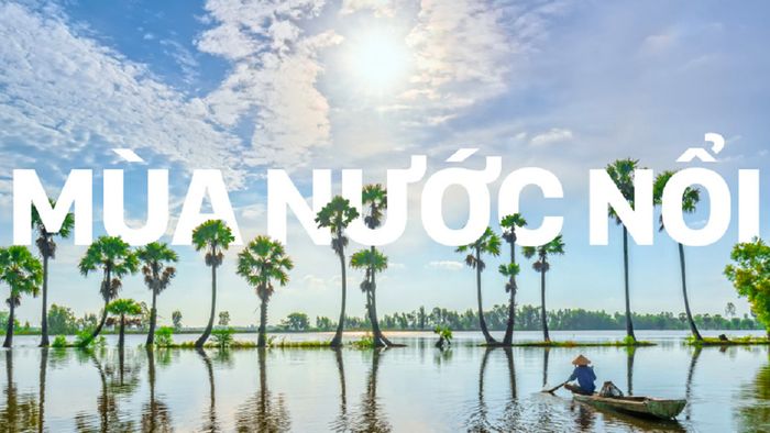 Ảnh minh họa (Nguồn internet) – hình 1