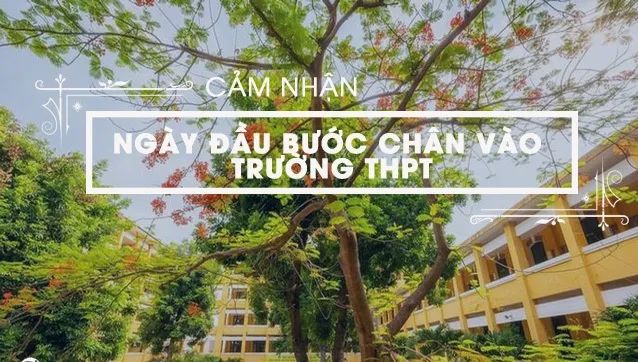 Hình ảnh minh họa sống động (Nguồn: internet) ảnh 1