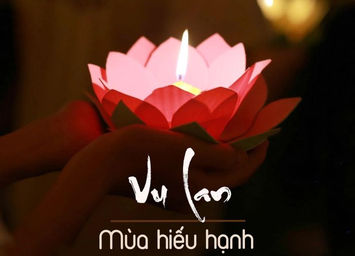 Ảnh minh hoạ (Nguồn từ internet) ảnh 1