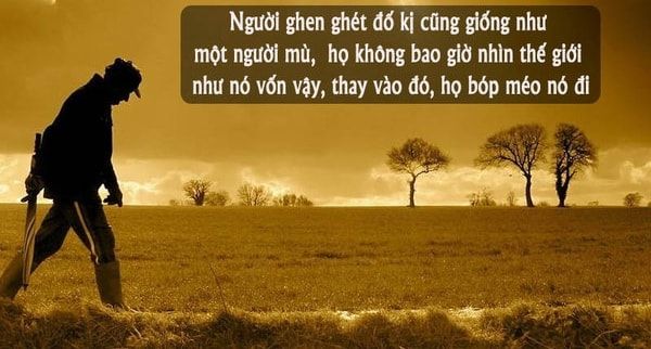Ảnh minh họa (Nguồn internet) ảnh 1