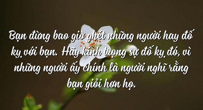 Ảnh minh họa (Nguồn internet) ảnh 1