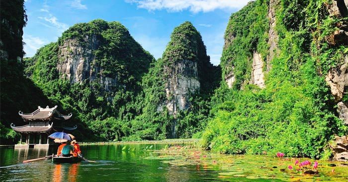Ảnh minh họa (Nguồn internet) ảnh 1