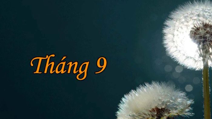Hình ảnh minh họa: Phố thu tháng chín