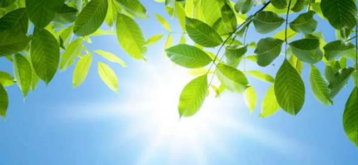 Hình ảnh minh họa: Mùa thu tháng chín rực rỡ