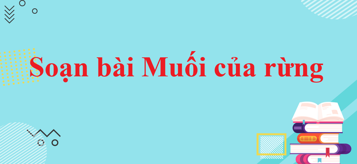 Hình ảnh minh họa đặc sắc (Nguồn: Internet)