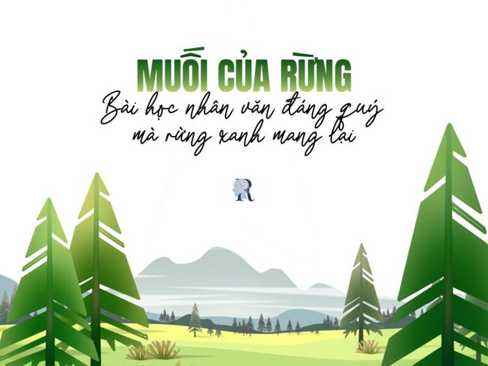 Hình ảnh minh họa sinh động (Nguồn: Internet)