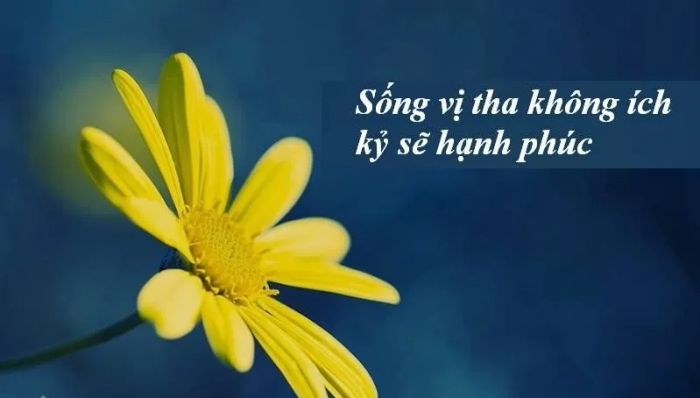 Minh họa hình ảnh (Nguồn internet) - ảnh 1