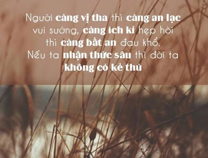 Minh họa hình ảnh (Nguồn internet) - ảnh 1